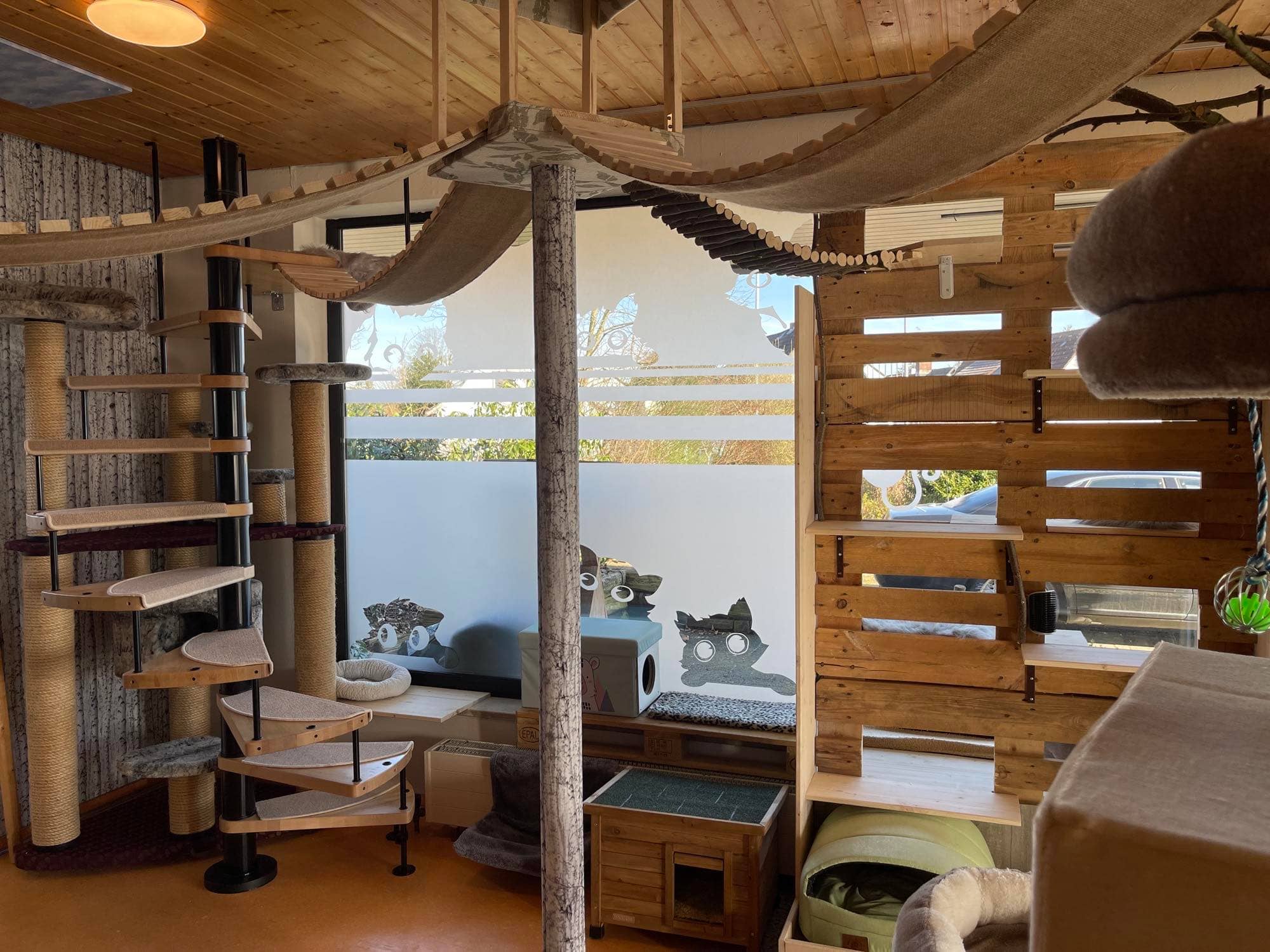 Wendeltreppe und Hängematten unter der Holzdecke, daneben eine Palettenwand und Fenster mit Katzenmotiv